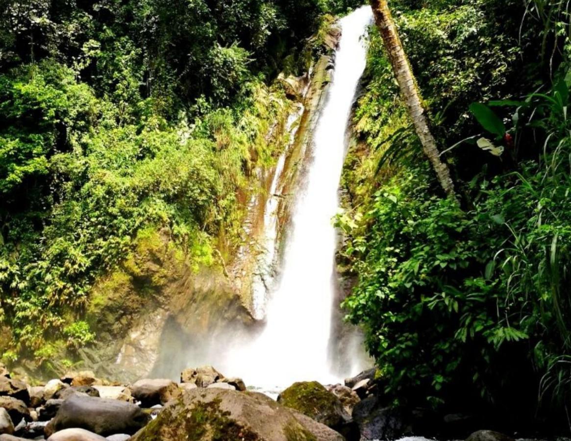 Hotel Wagelia Turrialba Exterior foto